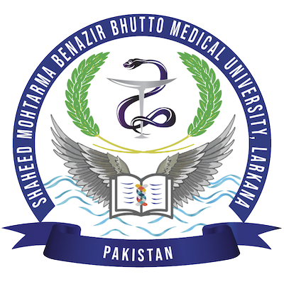 SMBBMU logo